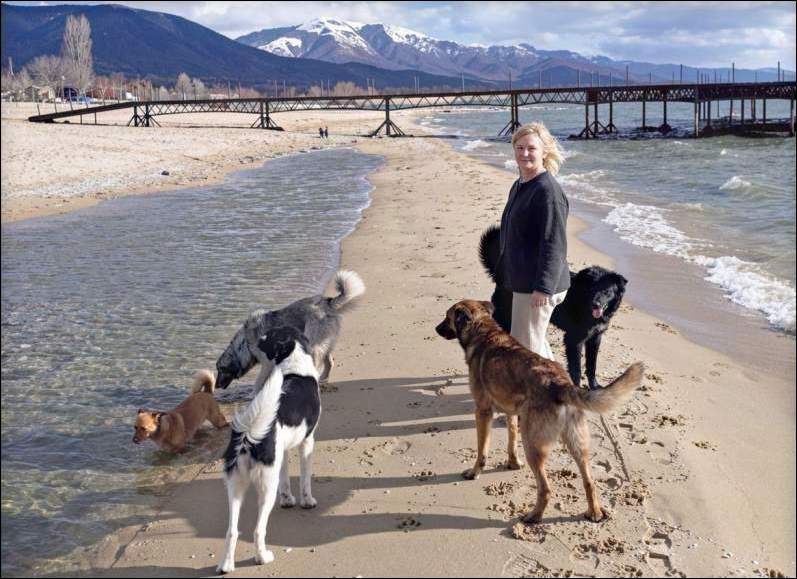 Woman,dogs